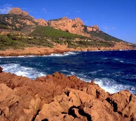 Les Chambres D'Hotes Au Bois Fleuri Bed & Breakfast 4*