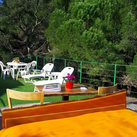 Les Chambres D'Hotes Au Bois Fleuri Bed & Breakfast